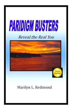 Paridigm Busters Book Cover